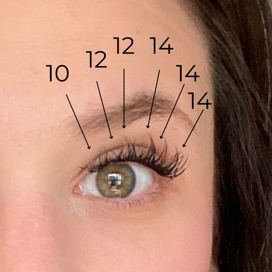 The Complete Lash Essentials Kit